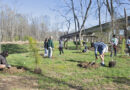 Charlotte Celebrates Earth Month In April