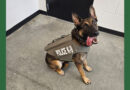 Charlotte’s Police Dog Dany Gets A Good Boy Gift From Vested Interest In K9s