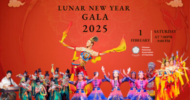 Lunar New Year Gala At Central Piedmont Feb 1