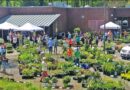 Charlotte’s Popular Botanical Gardens Spring Plant Sale April 10-12