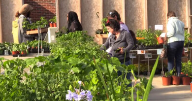 Popular Central Piedmont Spring Plant Sale Offers A Wide Selection